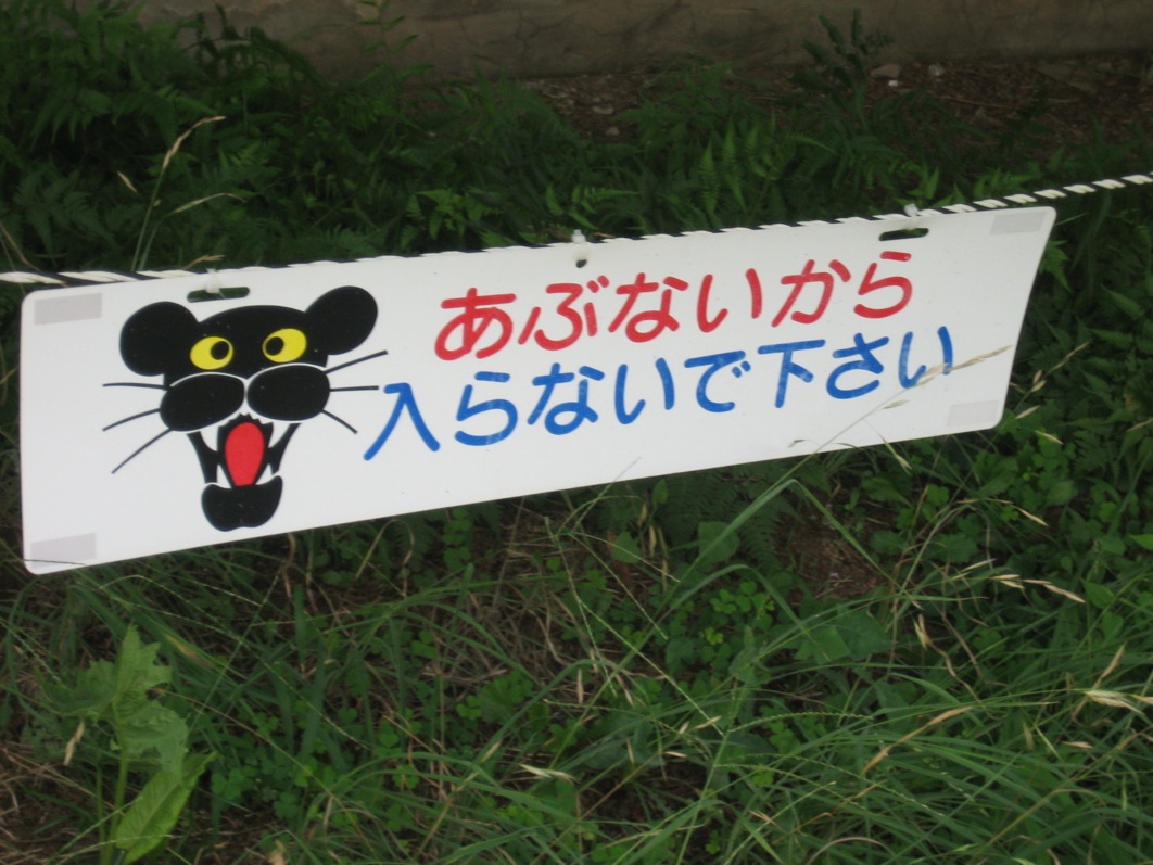 c0138553_14332188.jpg