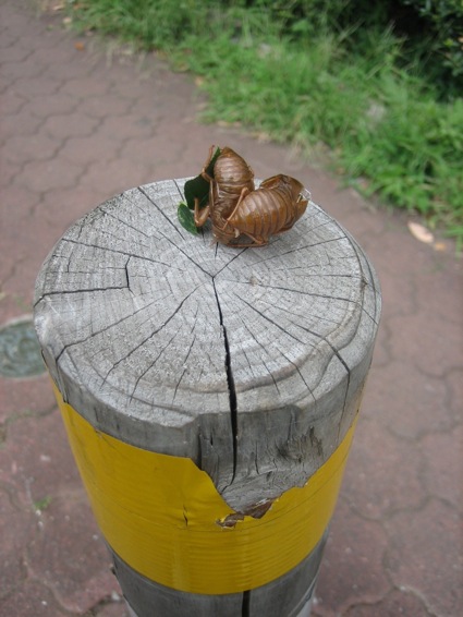 c0138553_1443862.jpg