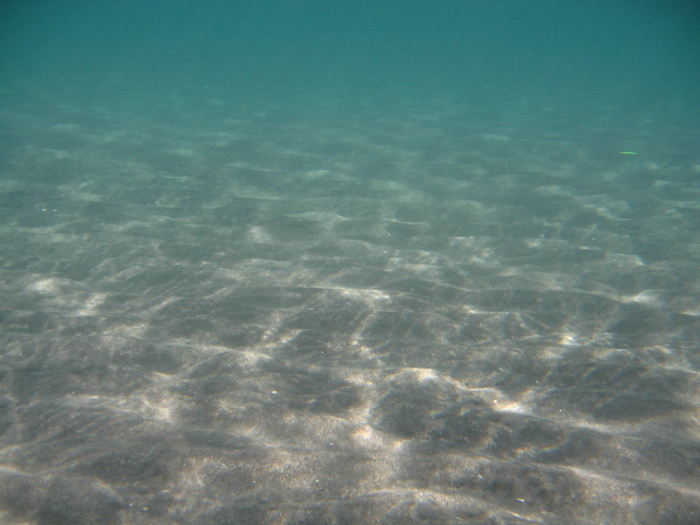 a0101958_1752440.jpg