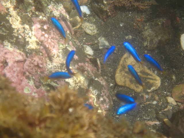 a0101958_17577.jpg
