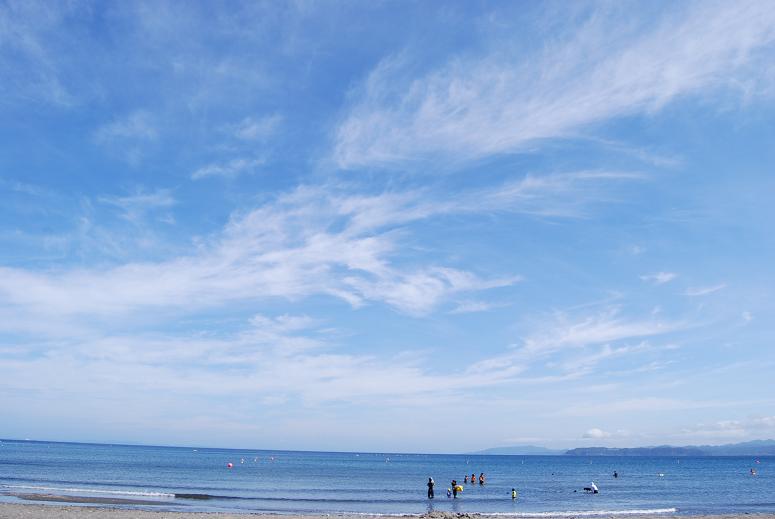 a0101958_1773740.jpg