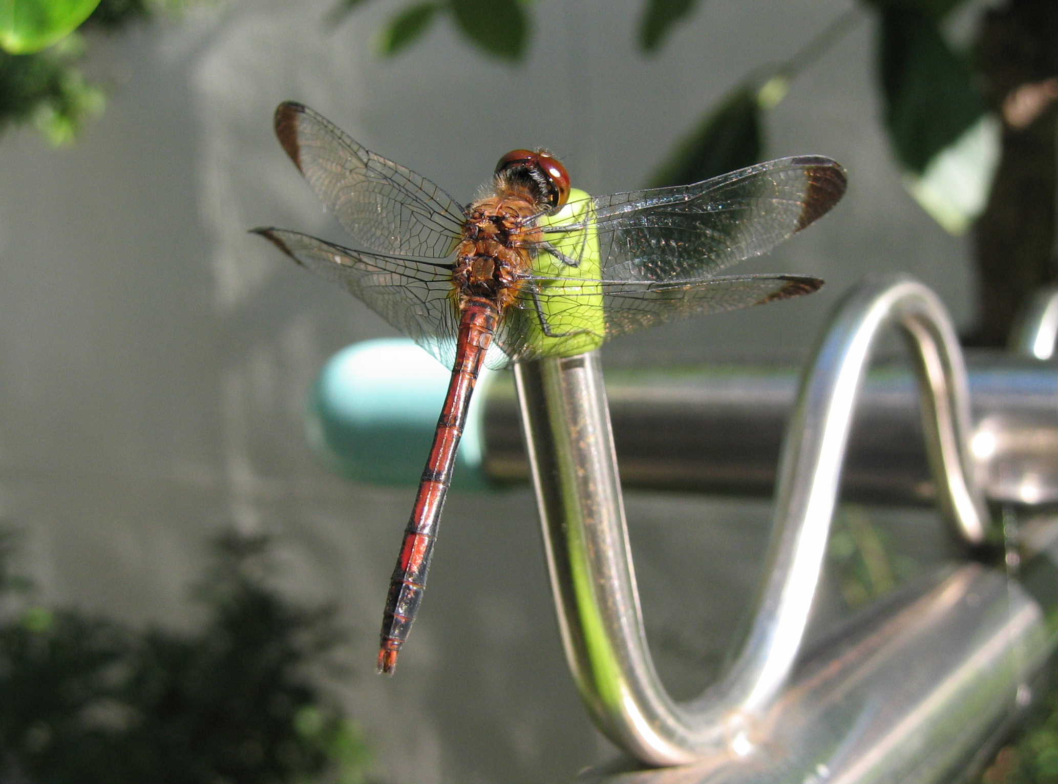 c0148165_22163675.jpg