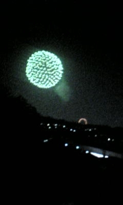 f0168268_20243491.jpg