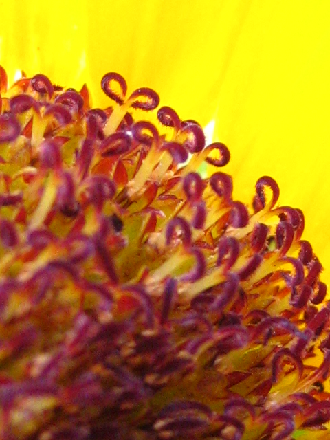 c0160778_22212150.jpg