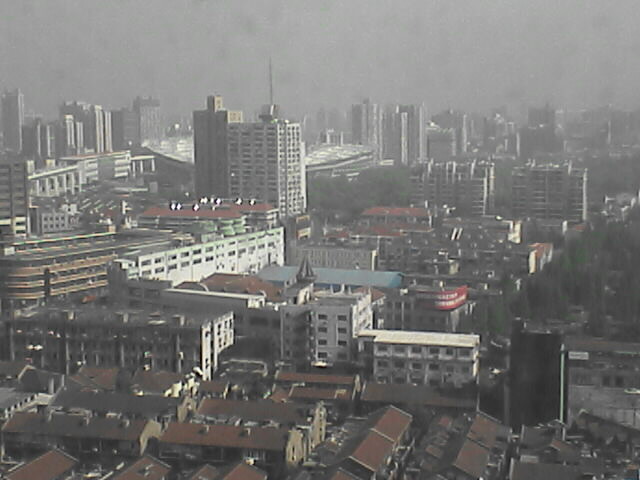 c0069380_127675.jpg