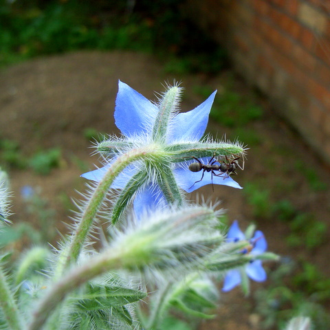 a0043982_18271071.jpg