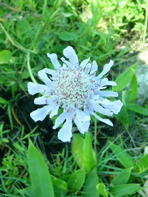 e0145782_5523221.jpg