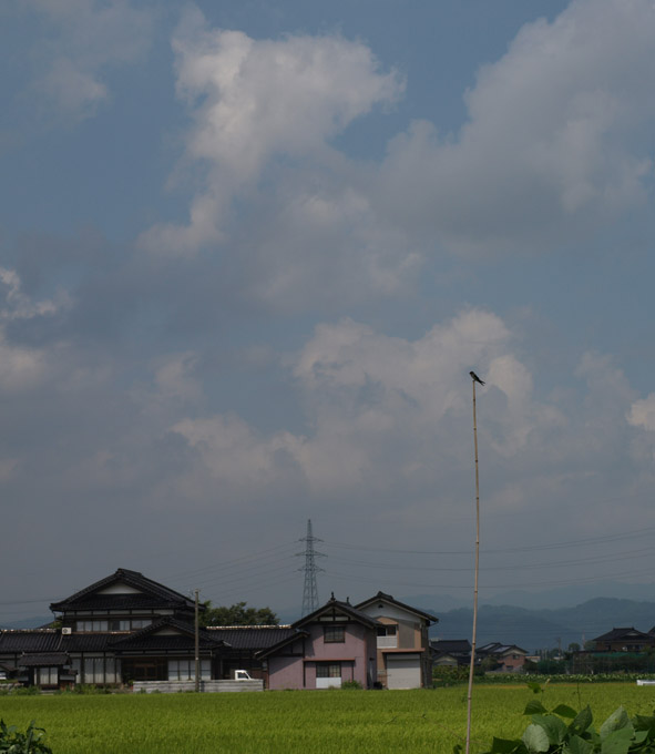 d0088788_20423657.jpg