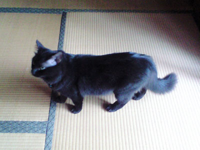 e0019594_8355666.jpg