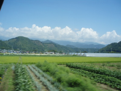 c0086895_2053969.jpg