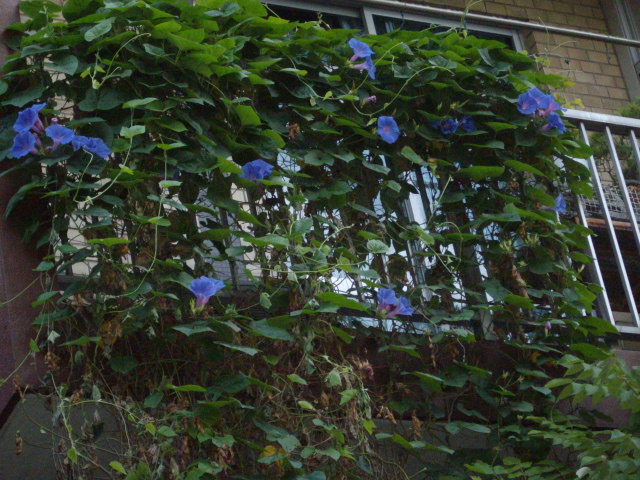 c0138198_14582354.jpg