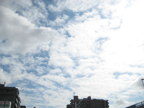 b0097200_10225257.jpg