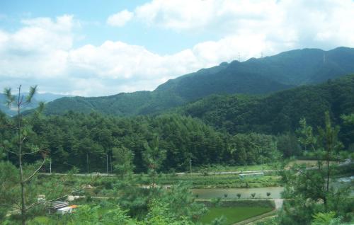 d0041400_2221976.jpg