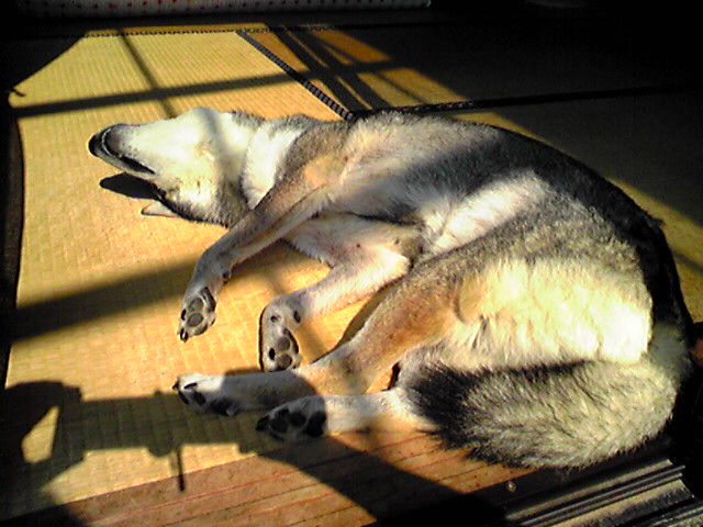 f0079202_8454113.jpg