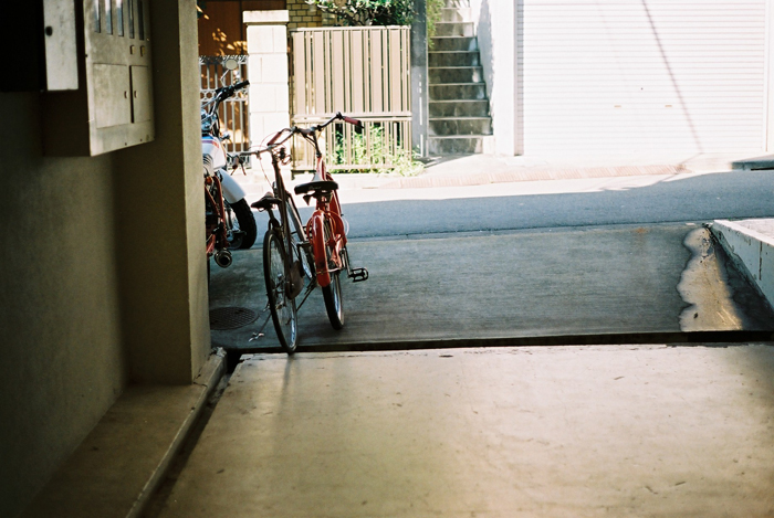 c0120903_1465246.jpg
