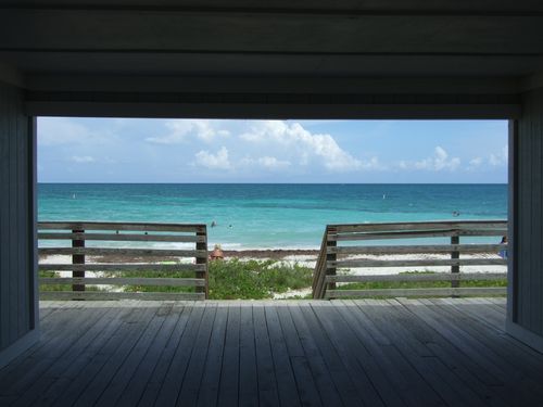 f0024303_11223037.jpg