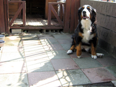 c0030705_17534.jpg