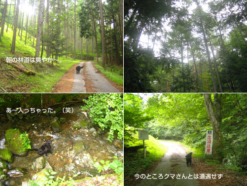 c0012120_21113649.jpg