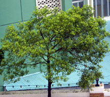 b0026822_17342790.jpg