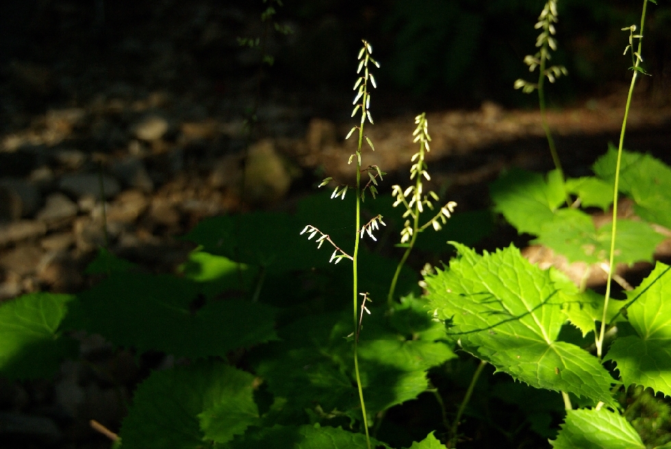 b0062024_17443677.jpg
