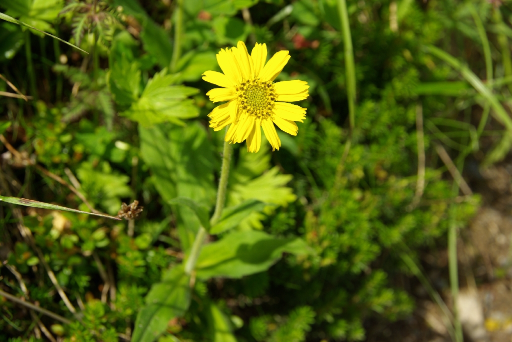 b0062024_17472639.jpg