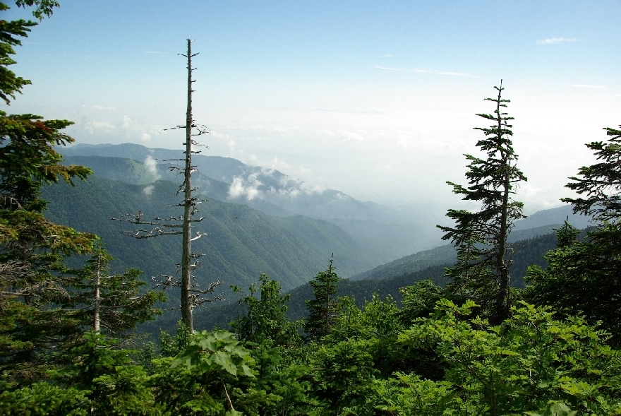b0062024_17511632.jpg
