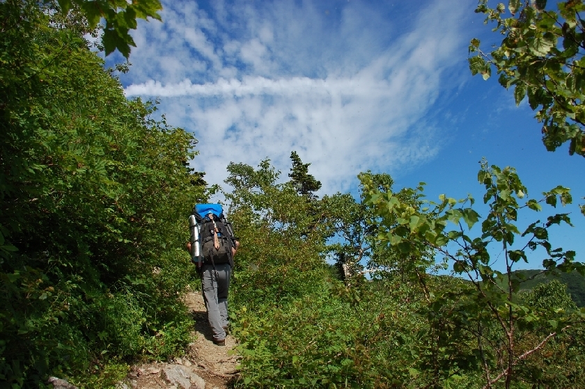b0062024_17533671.jpg