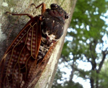 c0162328_16103158.jpg