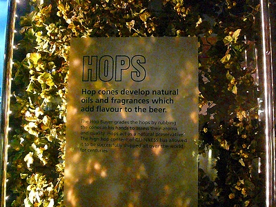 c0153330_18442735.jpg