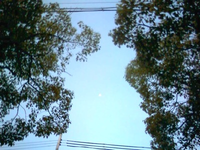 c0170930_9254192.jpg