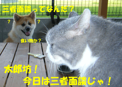 f0008935_101867.gif