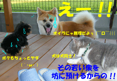 f0008935_102743.gif