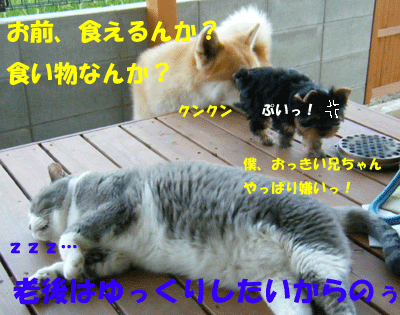 f0008935_104596.gif