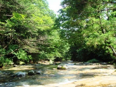 e0119840_22105646.jpg