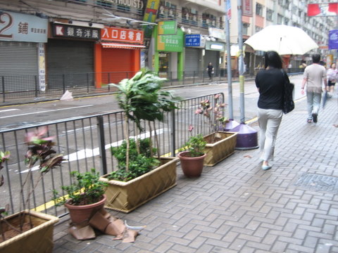 e0018143_16555469.jpg
