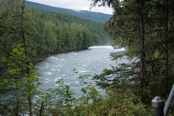 f0084544_15454788.jpg