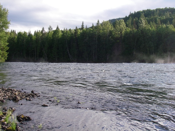 f0084544_15494387.jpg