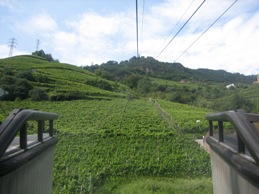 a0091348_5473012.jpg