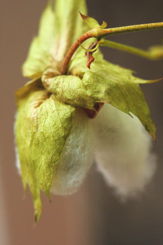 f0082348_1264741.jpg