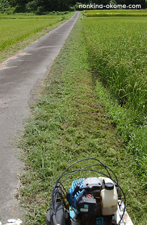 c0145453_22312890.jpg