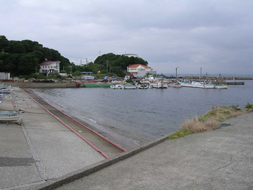 b0078754_1140332.jpg