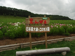 e0004756_209533.jpg