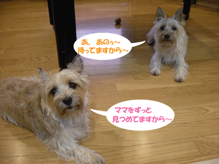 e0066883_2247546.gif