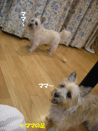 e0066883_23719100.gif