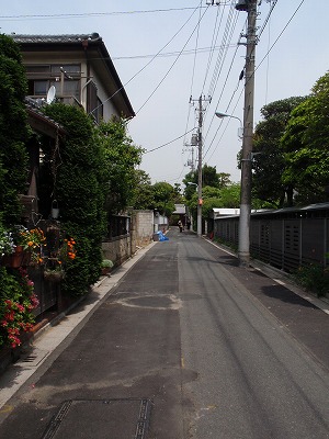 c0105785_8421468.jpg