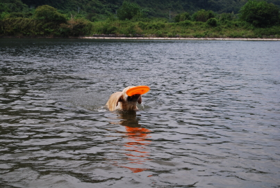 c0092787_9373929.jpg