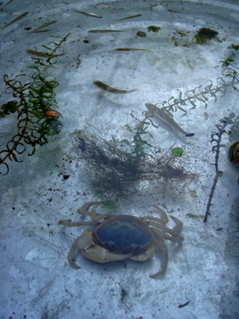 e0111793_15133071.jpg