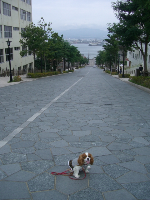 f0046194_1418278.jpg