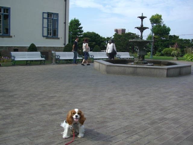 f0046194_14183315.jpg