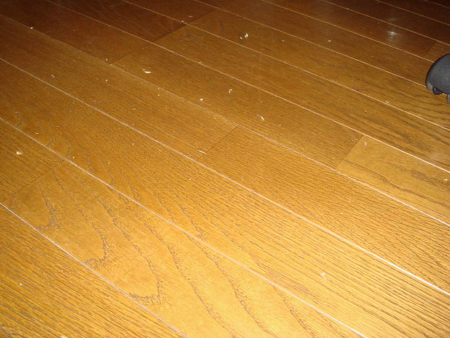 f0058098_15193474.jpg